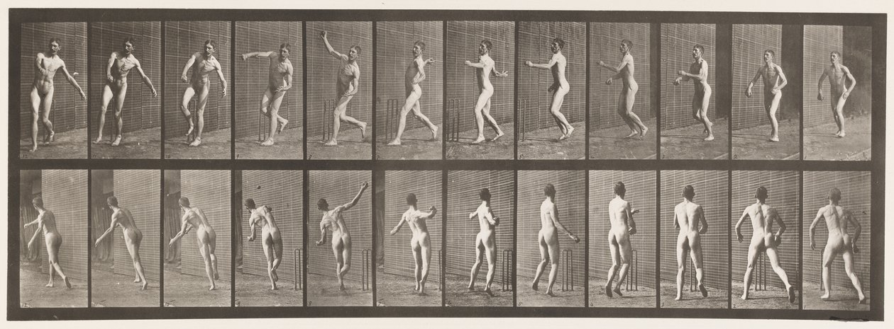 Talíř 290.Cvrček; Bowling přes rameno, 1885 od Eadweard Muybridge