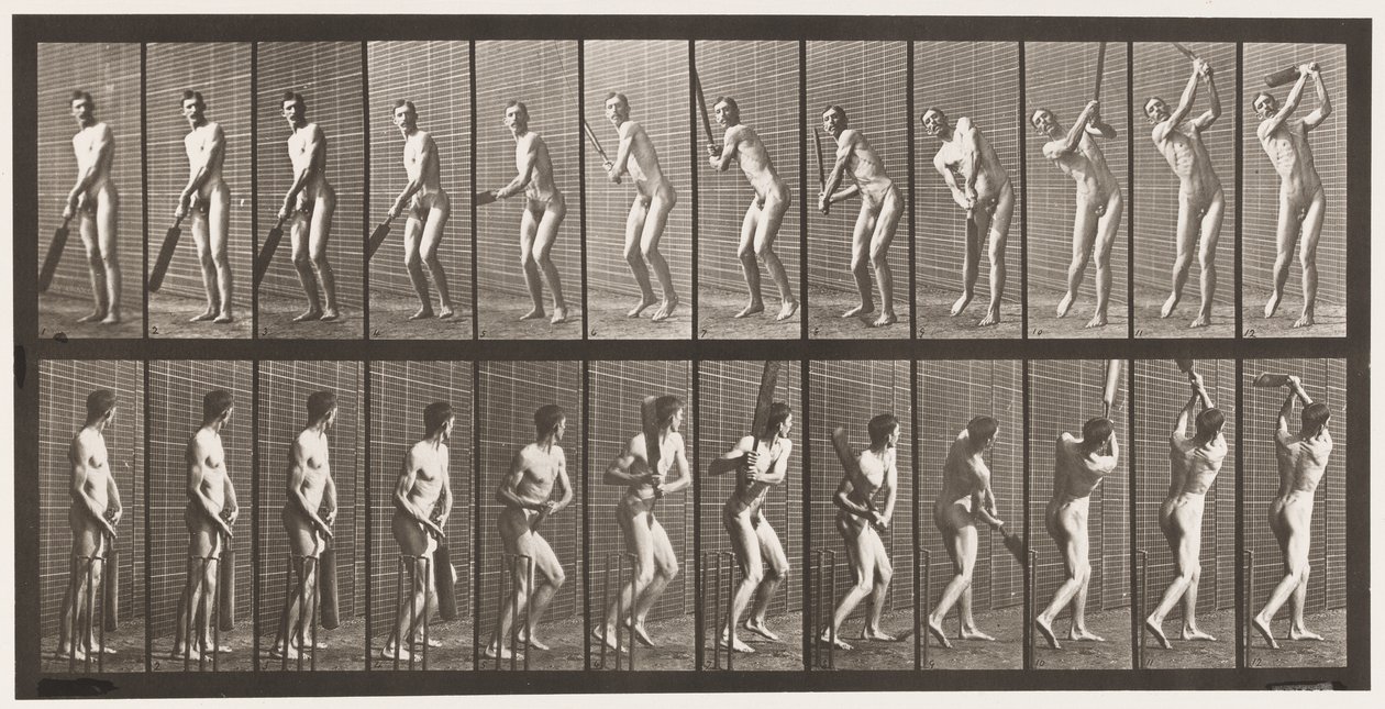Talíř 291.Cvrček; odpalování; Drive, 1885 od Eadweard Muybridge
