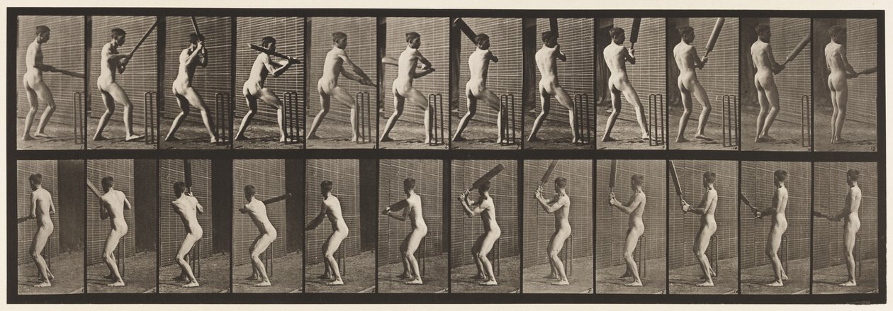 Talíř 292.Cvrček; odpalování; Zpět ven, 1885 od Eadweard Muybridge