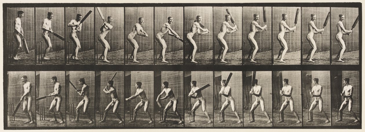 Talíř 293.Cvrček; odpalování; Zpětný řez, 1885 od Eadweard Muybridge