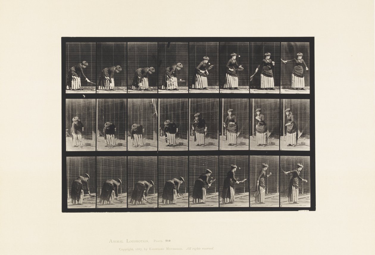 Talíř 295. Tenis na trávníku; Porce od Eadweard Muybridge
