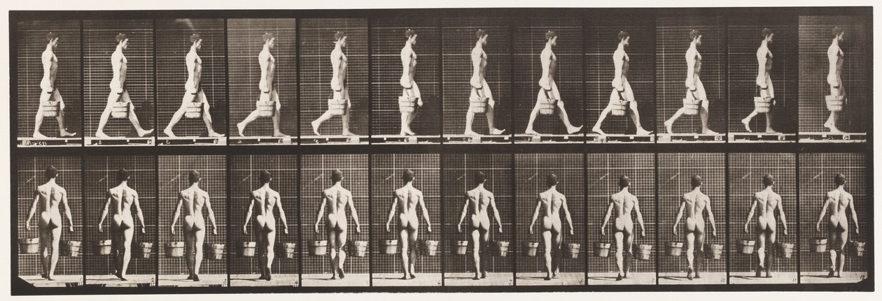 Talíř 29. Chůze, nošení vědra vody v každé ruce, 1872-1885 od Eadweard Muybridge