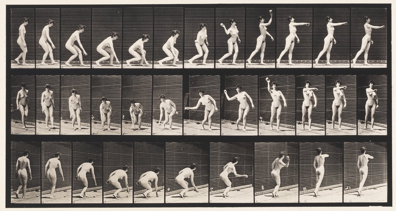 Talíř 303. Zvednutí míče a jeho házení, 1872-1885 od Eadweard Muybridge