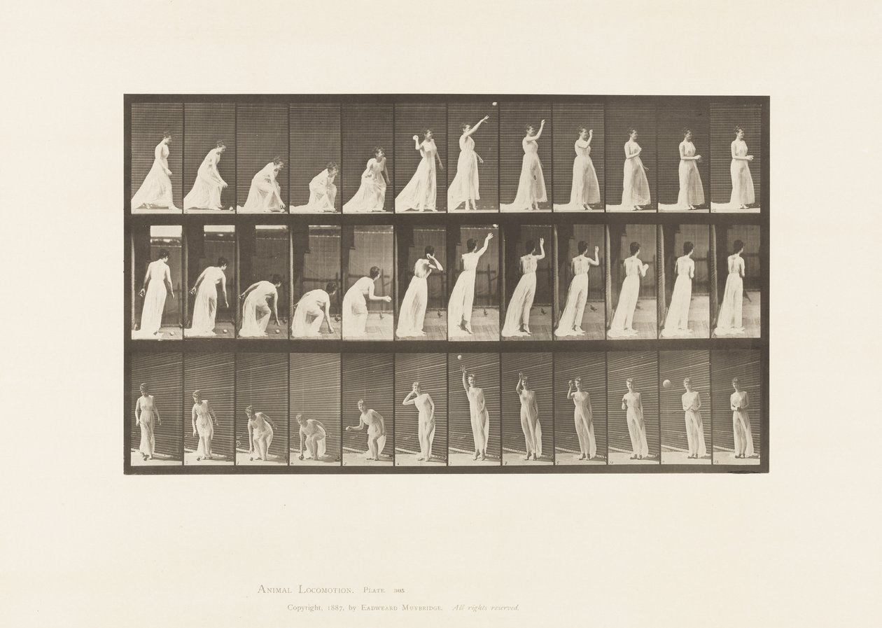Talíř 305. Zvednutí míče a házení, 1885 od Eadweard Muybridge