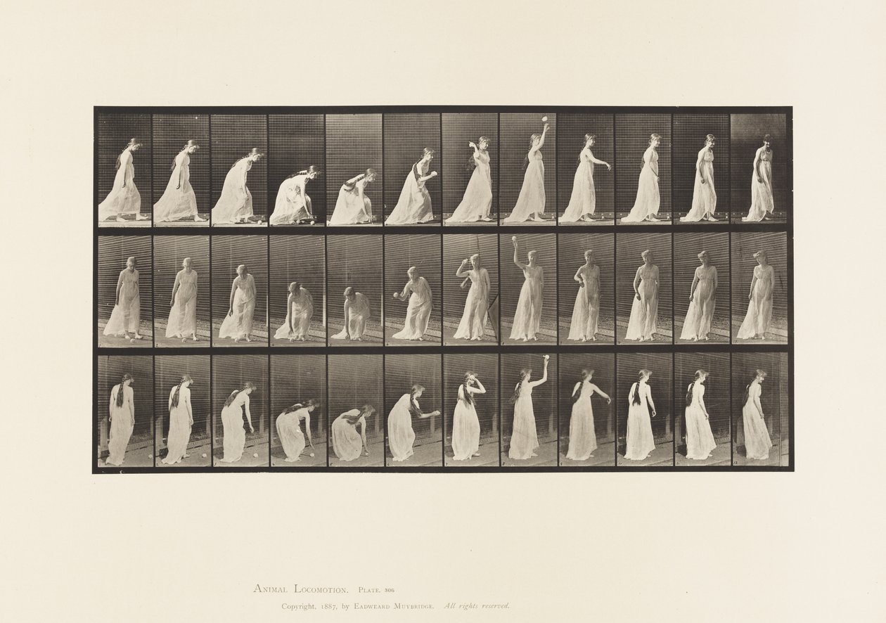Talíř 306. Zvednutí míče a házení, 1885 od Eadweard Muybridge