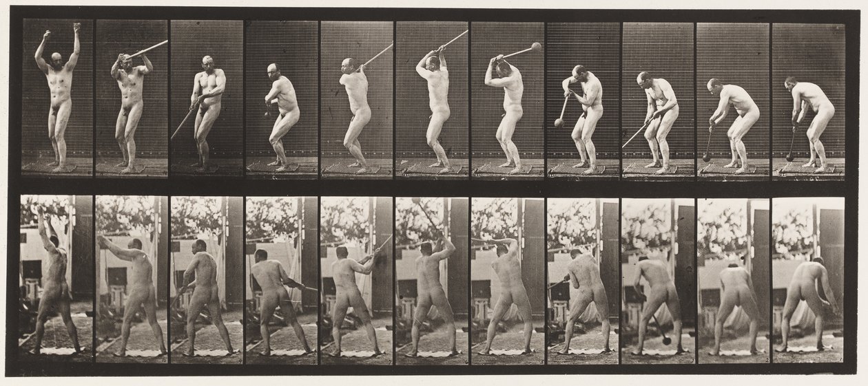 Talíř 308. Házení kladivem, 1885 od Eadweard Muybridge