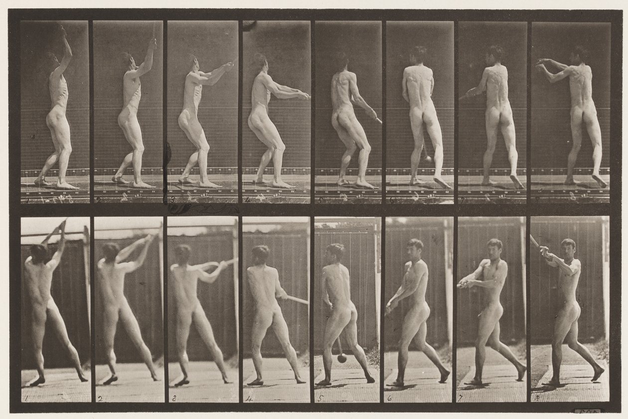 Talíř 309. Házení kladivem od Eadweard Muybridge