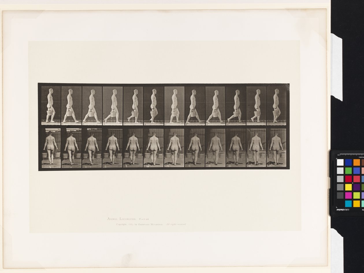 Talíř 30. Chůze, nošení vědra s vodou v každé ruce od Eadweard Muybridge