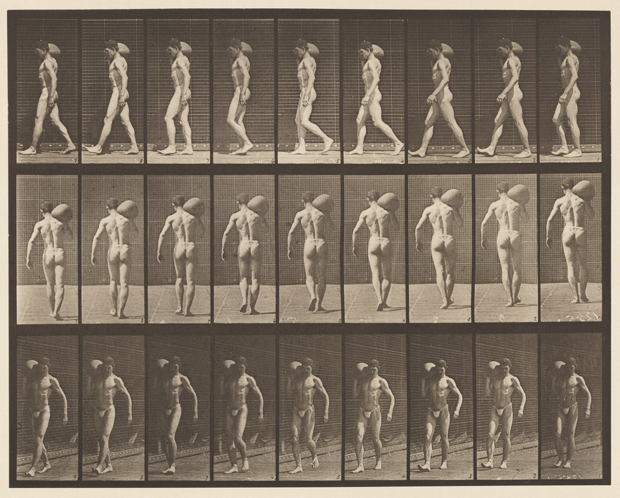 Talíř 31. Chůze, nošení 75-lb kamene na pravém rameni od Eadweard Muybridge