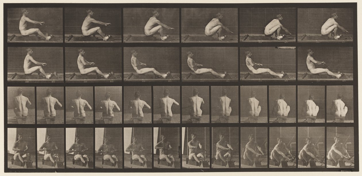 Talíř 328. Veslování od Eadweard Muybridge