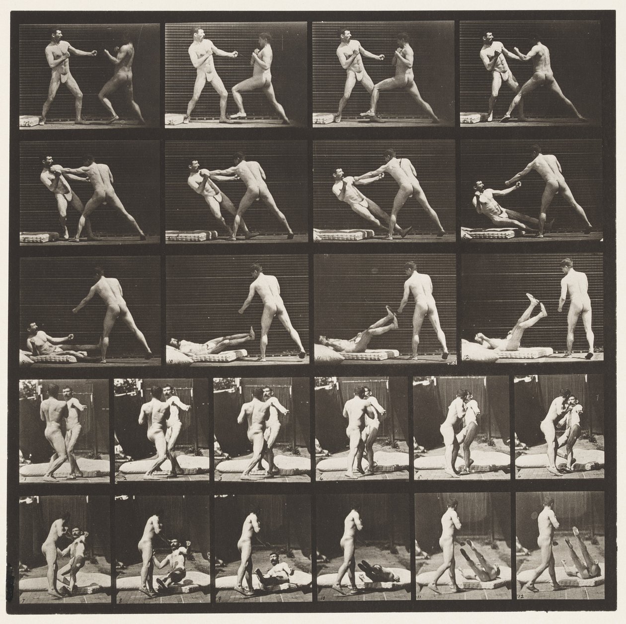 Talíř 333. Boxování; 53 Knocking 52 Down (boty) od Eadweard Muybridge