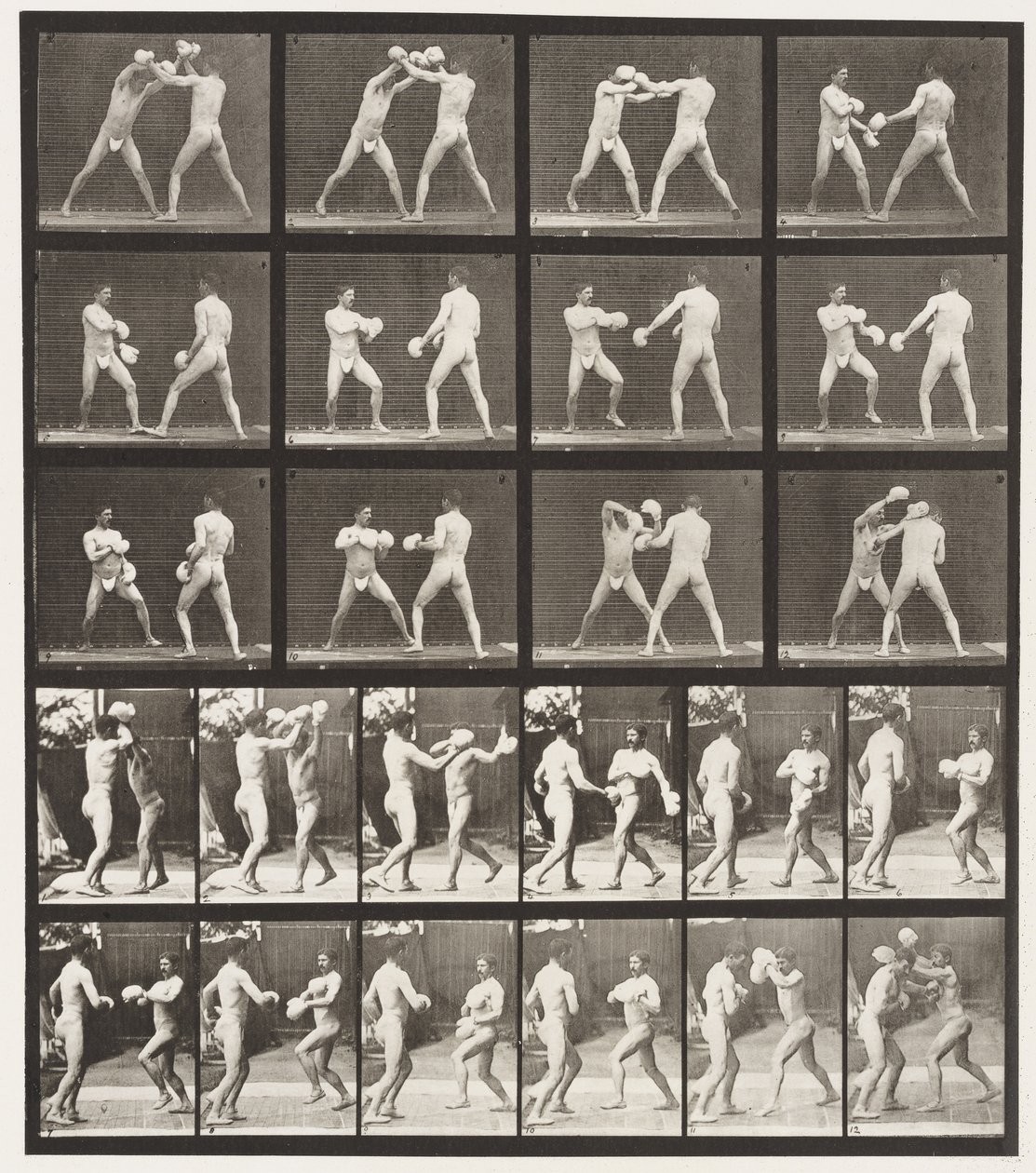 Talíř 334. Boxování; S rukavicemi (boty) od Eadweard Muybridge