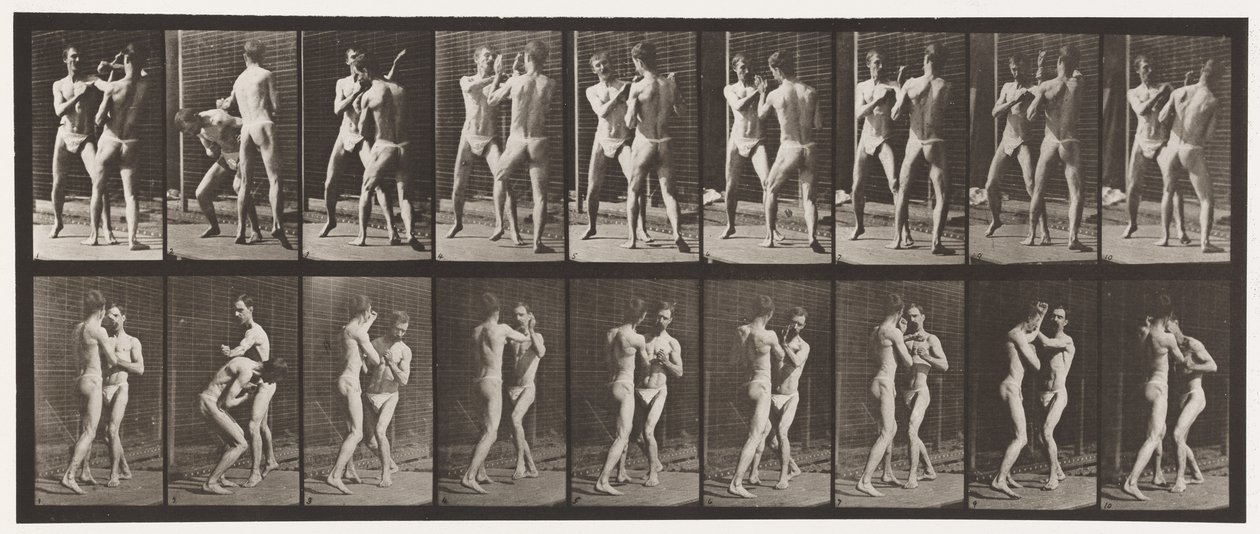 Talíř 337. Boxování; Otevřená ruka od Eadweard Muybridge