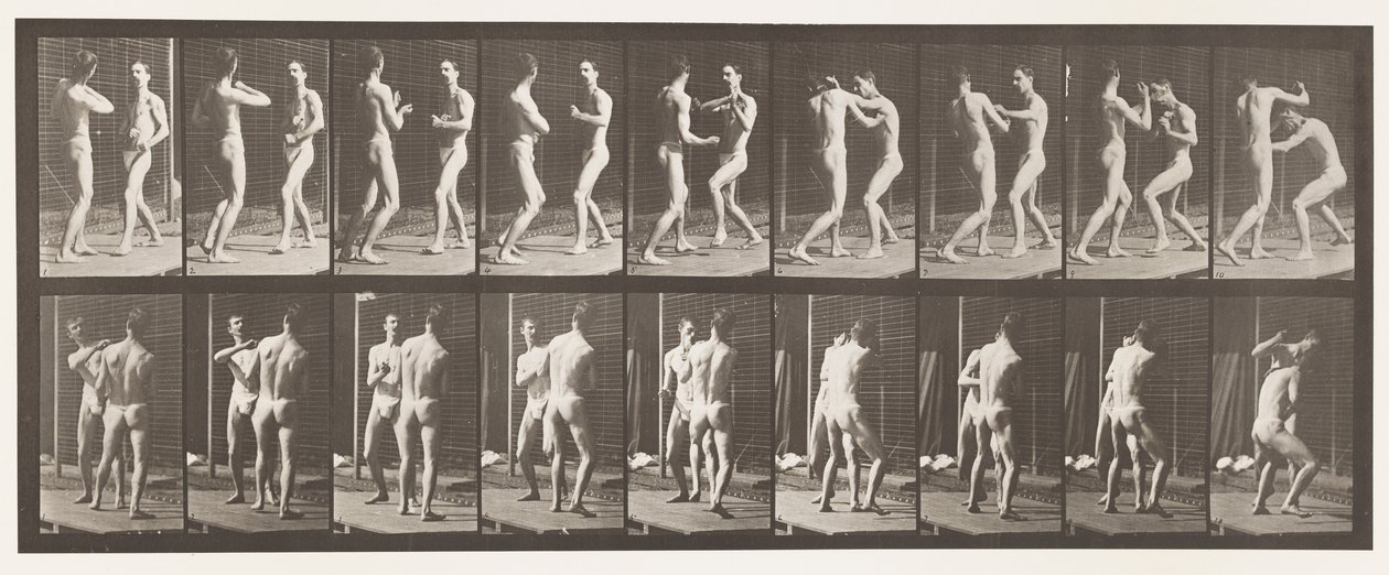 Talíř 339. Boxování; Otevřená ruka od Eadweard Muybridge