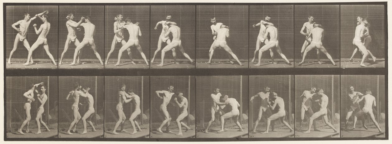 Talíř 342. Boxování; Otevřená ruka, 1872-1885 od Eadweard Muybridge