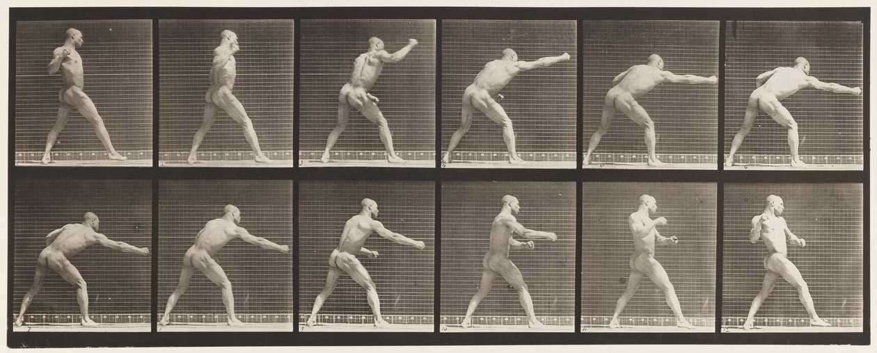 Talíř 344. Úder (pravá ruka) od Eadweard Muybridge