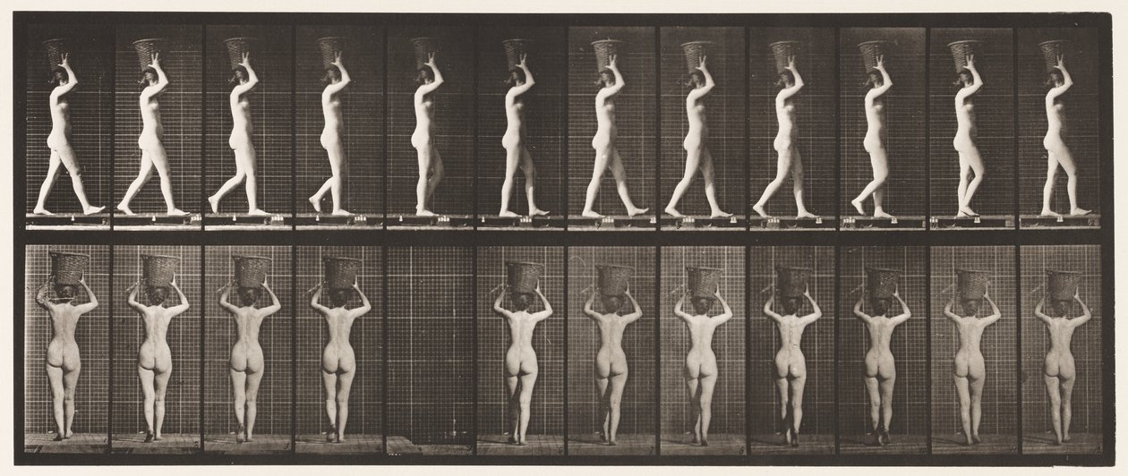 Talíř 34. Chůze od Eadweard Muybridge