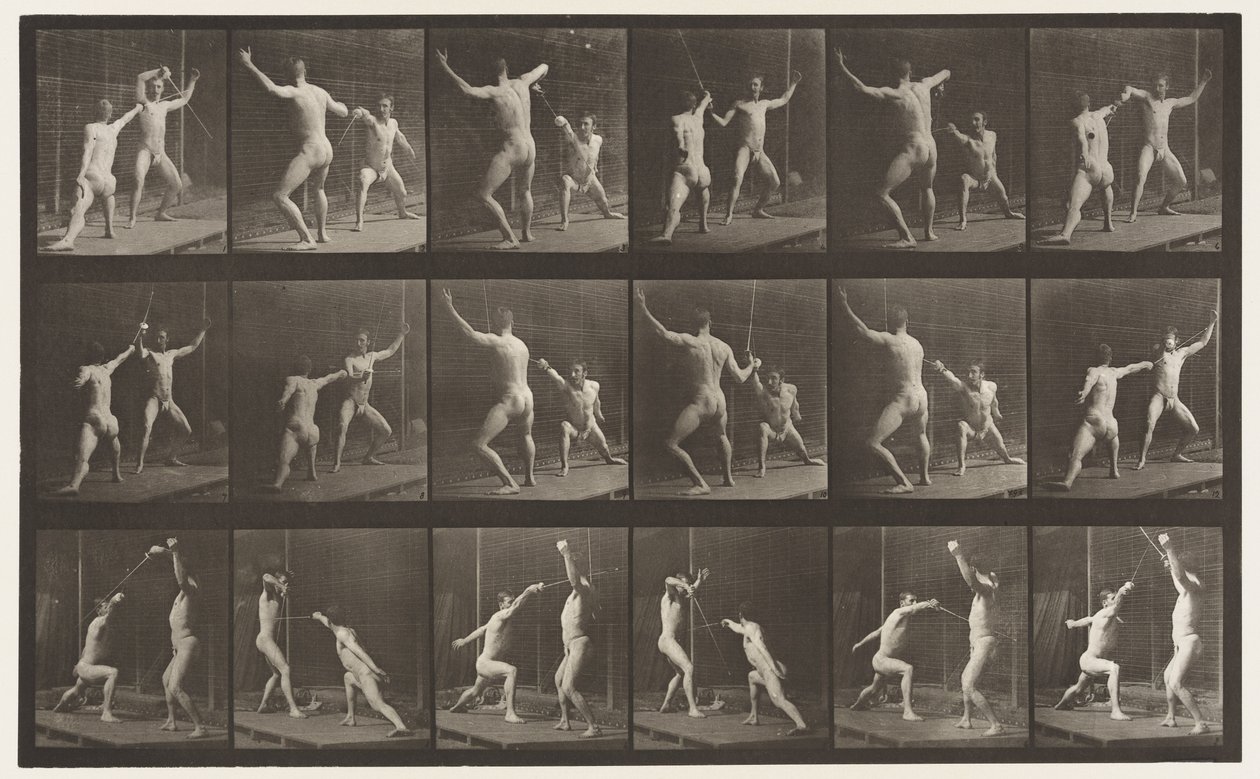 Talíř 350. Oplocení od Eadweard Muybridge