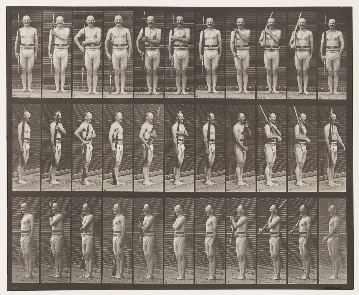 Talíř 352. Ramenní, řádové a nosné paže od Eadweard Muybridge