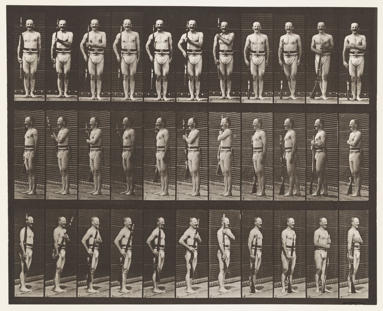 Talíř 354. Přenášecí ramena, opěrka a ramena od Eadweard Muybridge