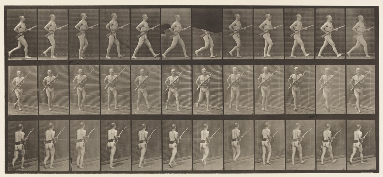 Talíř 359. Nabíjecí bajonet, 1872-1885 od Eadweard Muybridge