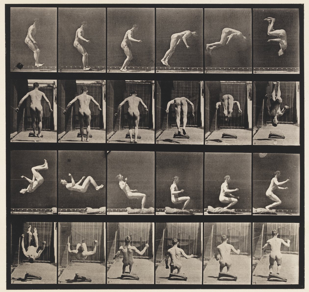 Talíř 363. Běžící salto, 1885 od Eadweard Muybridge