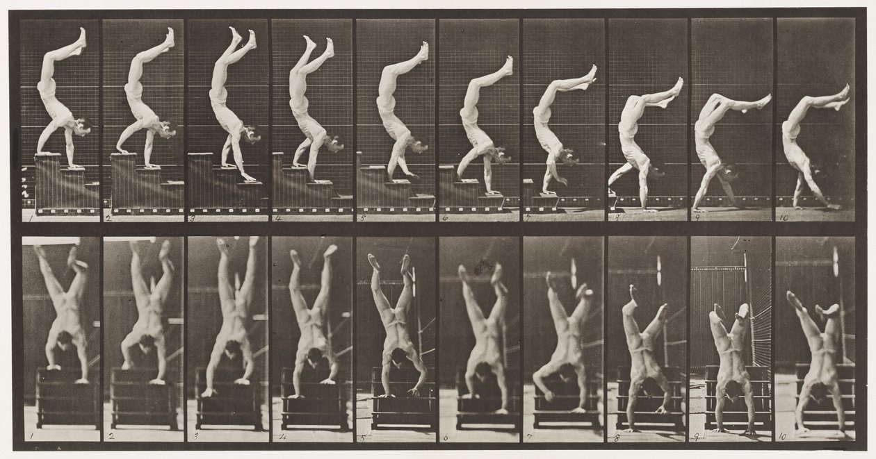 Talíř 368. Akrobat, Sestupné schody na rukou od Eadweard Muybridge