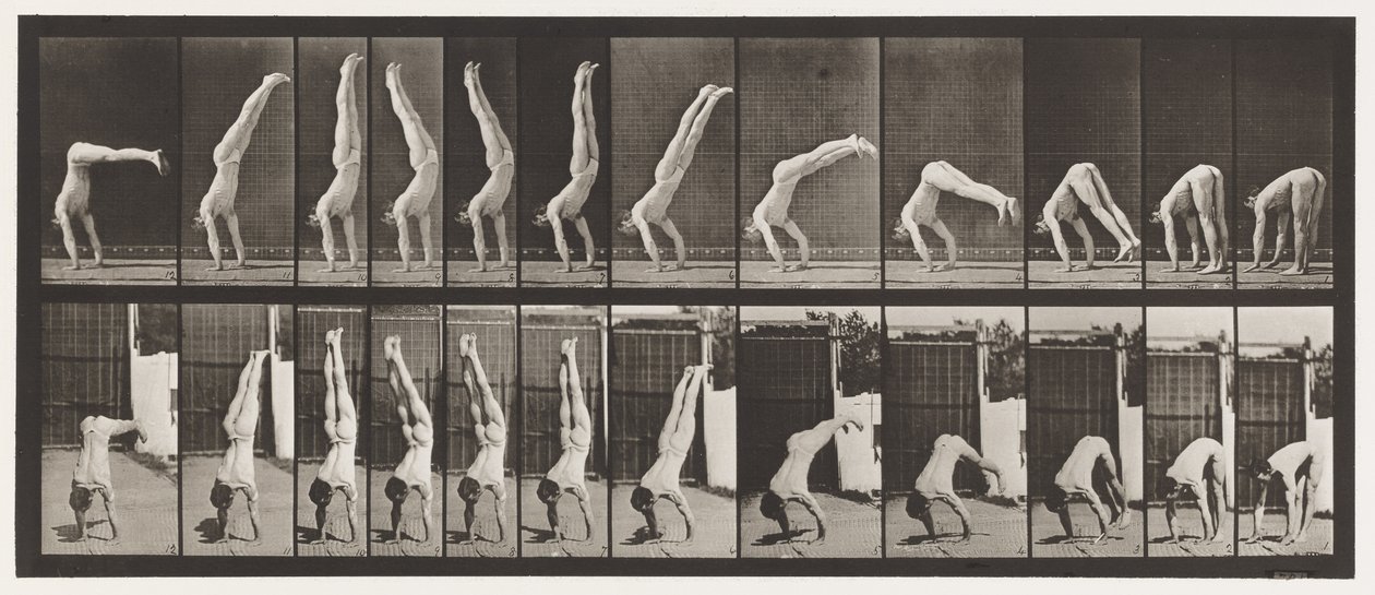 Talíř 371. Acrobat, Vertical Press Up od Eadweard Muybridge