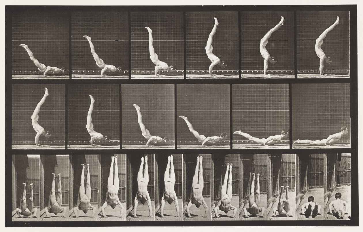 Talíř 372. Acrobat, horizontální lis nahoru od Eadweard Muybridge