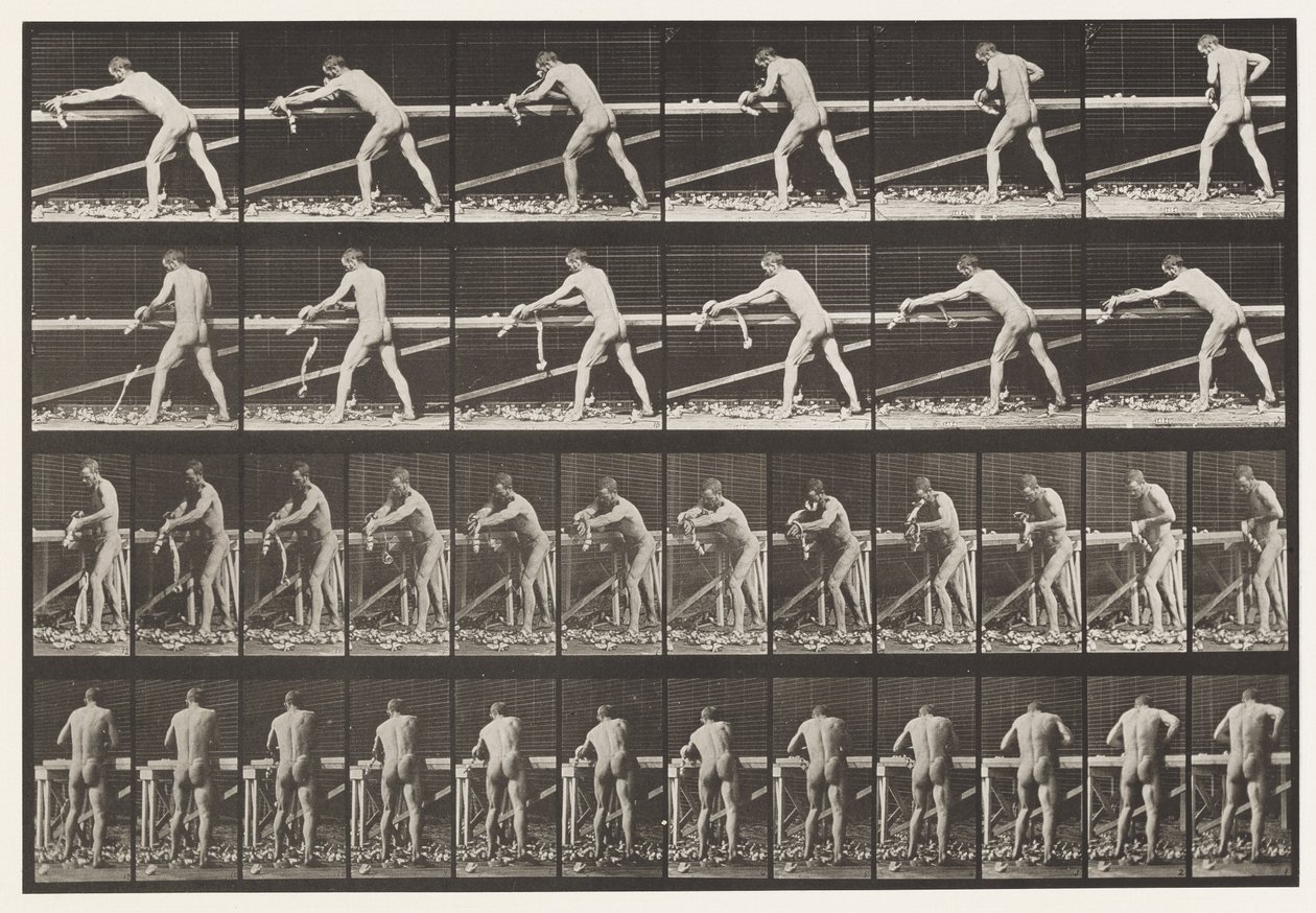 Talíř 379. Tesař, Hoblování desky, 1872-1885 od Eadweard Muybridge