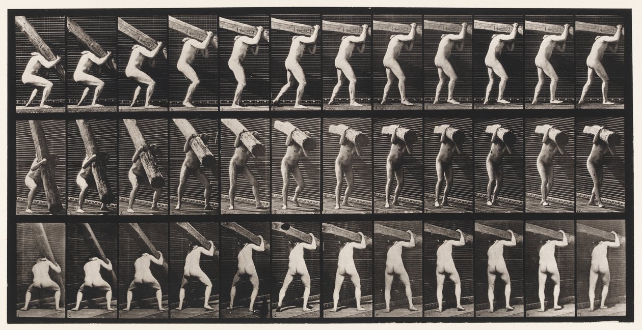 Talíř 383. Zvedání kmene na rameni od Eadweard Muybridge
