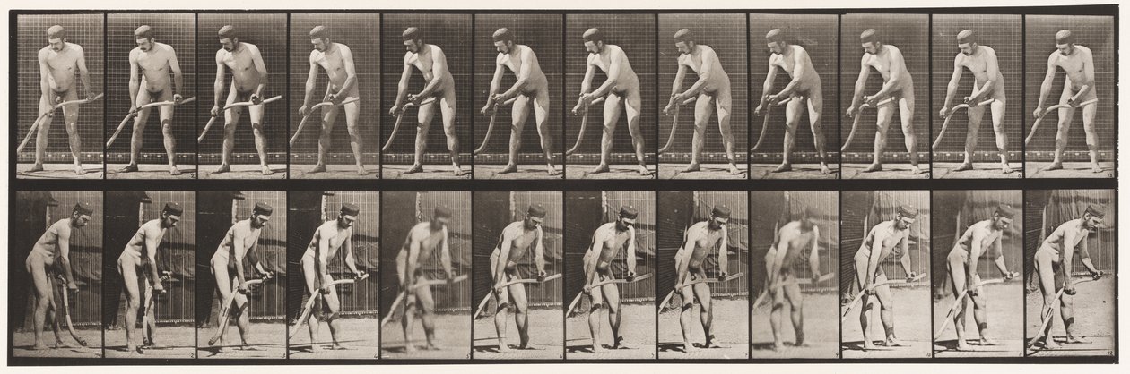 Talíř 391. Sedlák, Sečení trávy od Eadweard Muybridge
