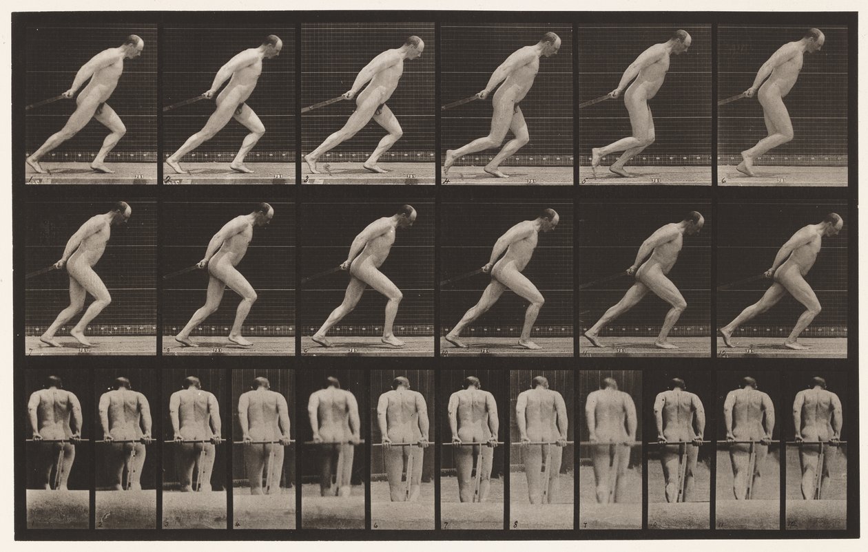 Talíř 392. Tažení zahradního válečku, 1872-1885 od Eadweard Muybridge