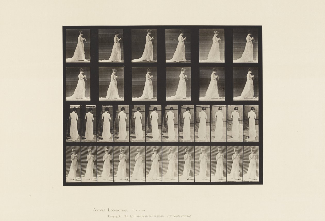 Talíř 39. Chůze, ruce zapojené do pletení, 1872-1885 od Eadweard Muybridge
