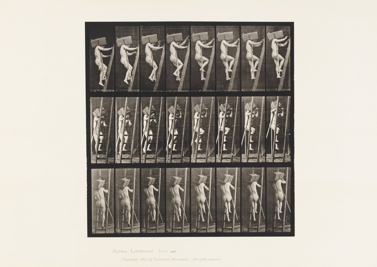 Talíř 405. Ruka nesoucí cihly po žebříku, 1872-1885 od Eadweard Muybridge