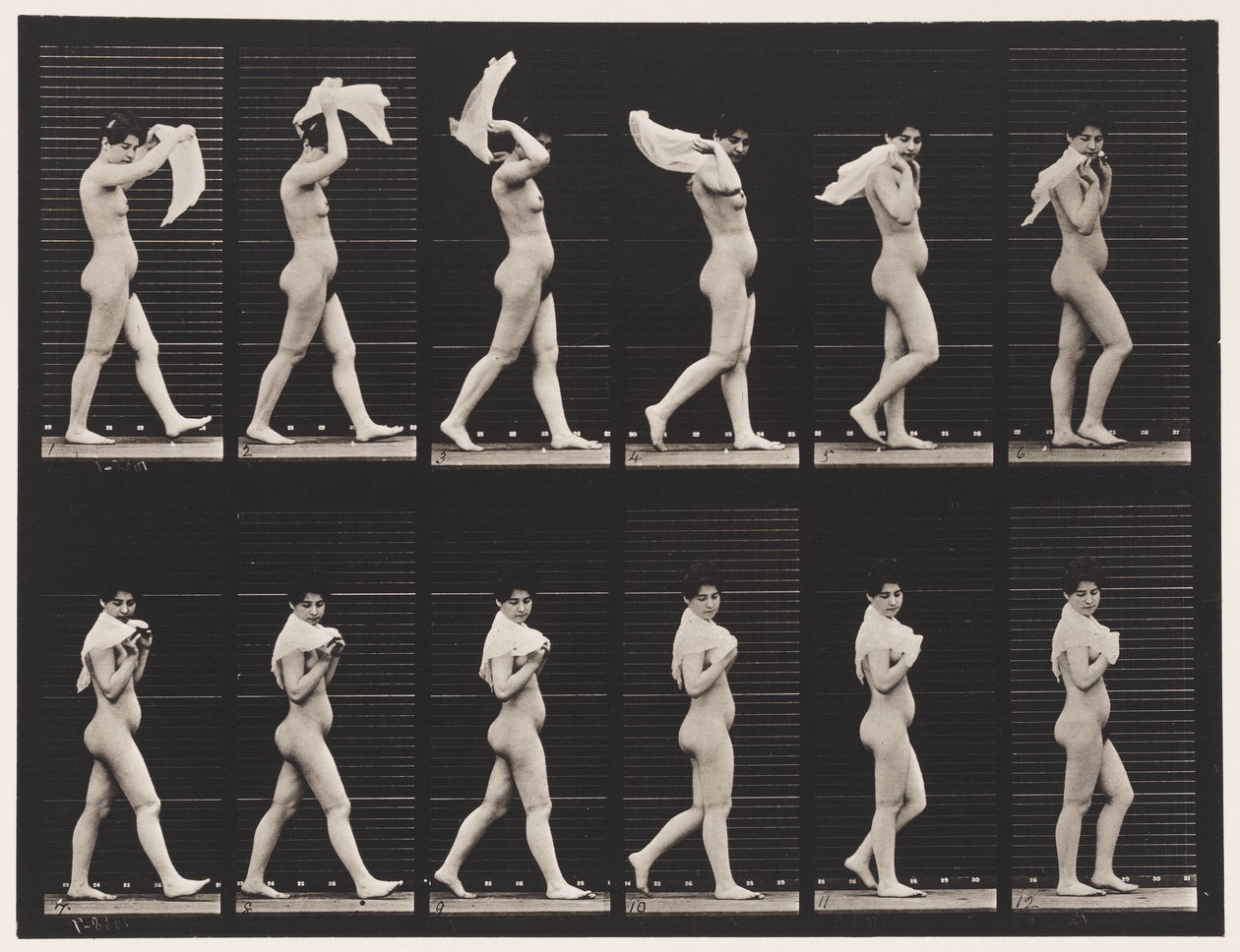 Talíř 40. Chůze, házení kapesníku přes ramena od Eadweard Muybridge