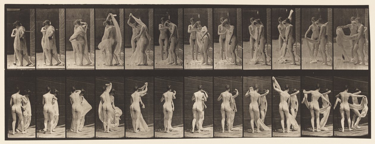Talíř 428. Záchod; Two Models, 1 Disrobing 8, 1872-1885 od Eadweard Muybridge