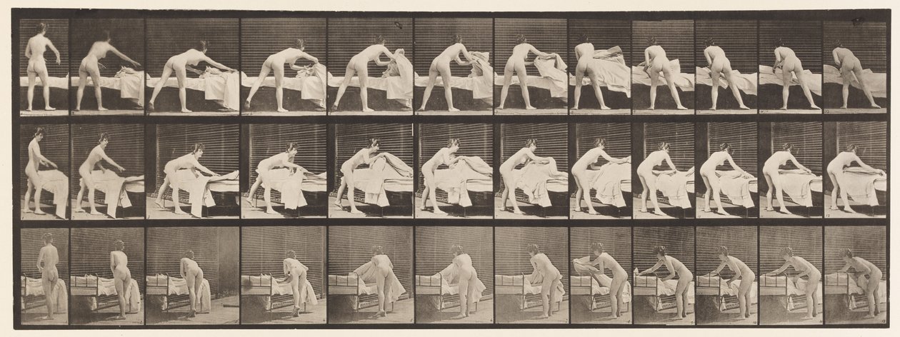 Talíř 436. Uspořádání lůžka od Eadweard Muybridge