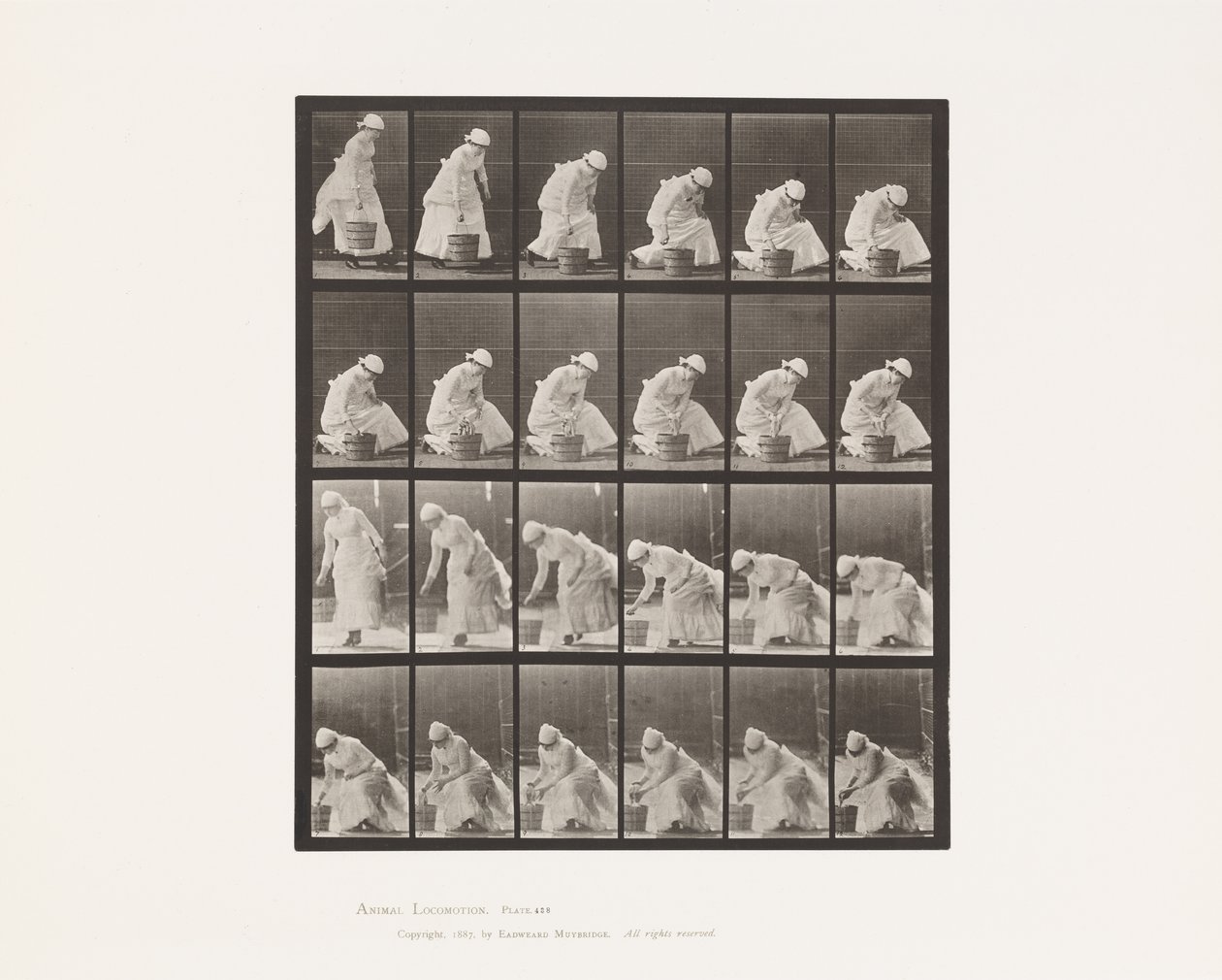 Talíř 438. Postavení kbelíku a příprava na drhnutí, 1885 od Eadweard Muybridge