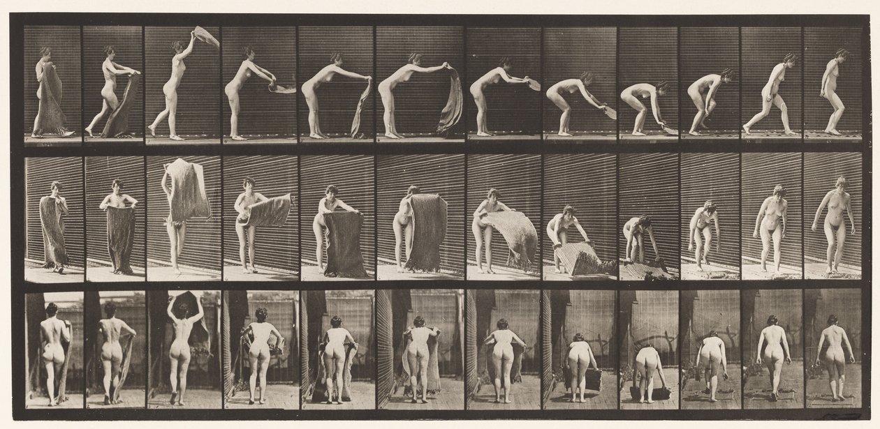 Talíř 439. Rozložení koberce na podlahu, 1872-1885 od Eadweard Muybridge