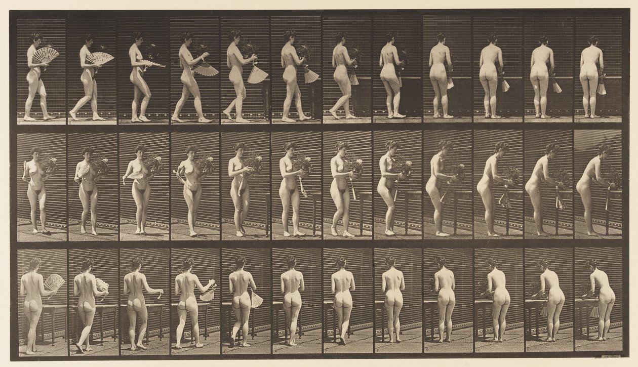 Talíř 441. Nosit vázu a pokládat ji na stůl, 1872-1885 od Eadweard Muybridge