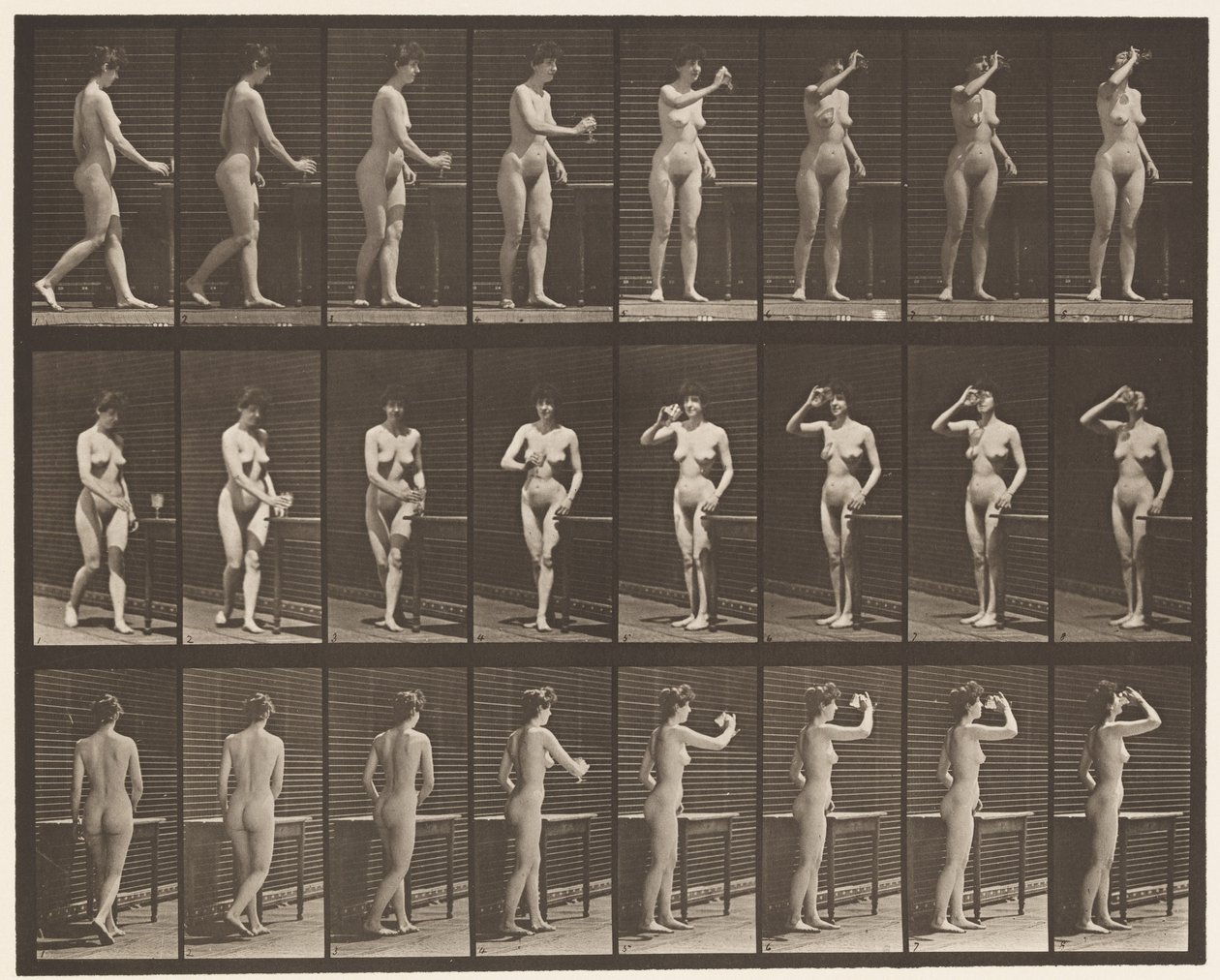 Talíř 443. Pití z poháru ve stoje od Eadweard Muybridge