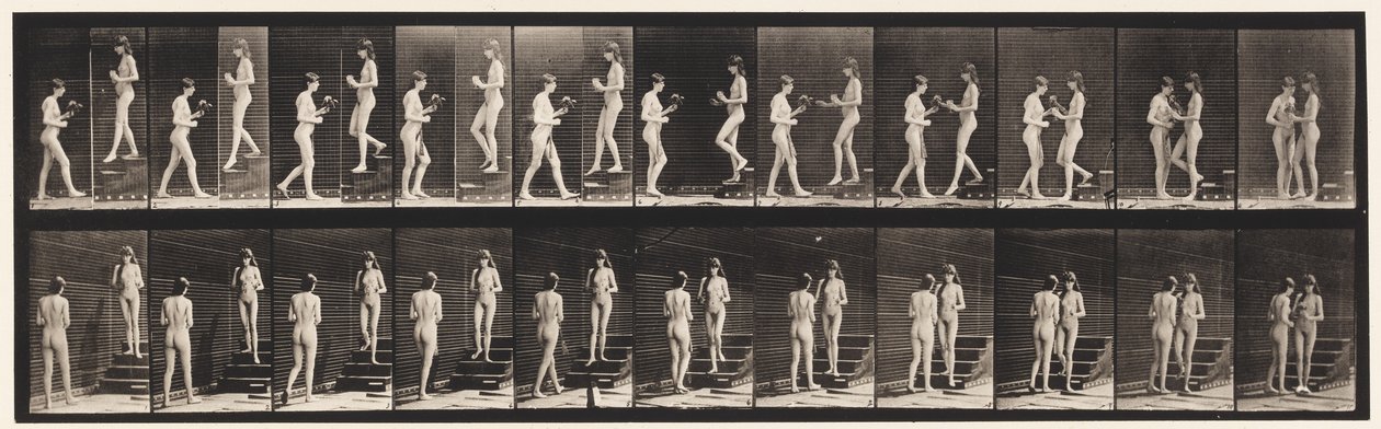 Talíř 448. Dva modely od Eadweard Muybridge