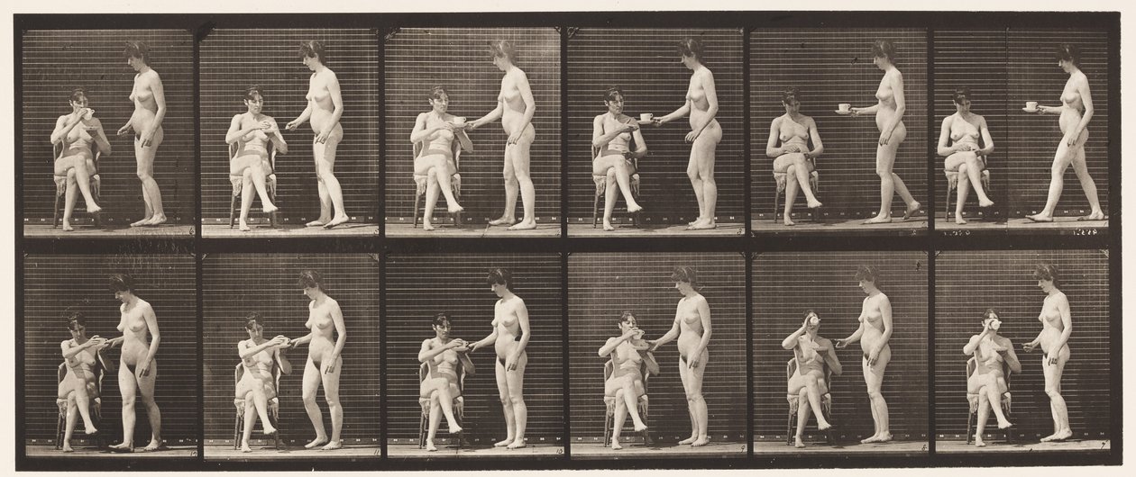 Talíř 450. Dva modely, 8 přináší šálek čaje, 1 šálek a nápoje, 1872-1885 od Eadweard Muybridge