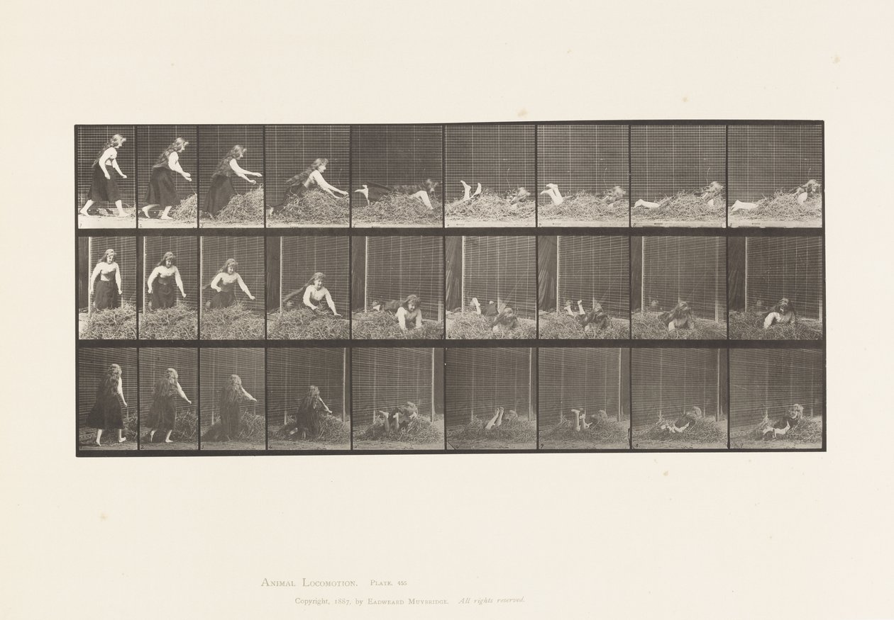 Plate 455. Házení sebe sama na hromadu sena od Eadweard Muybridge