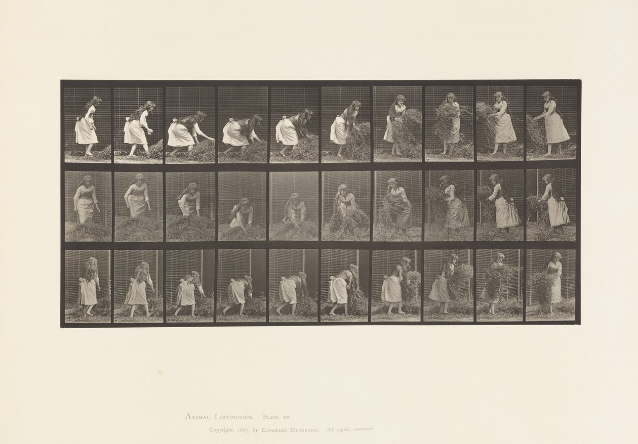 Talíř 458. Zvedání hrstí sena, otáčení, házení dolů od Eadweard Muybridge
