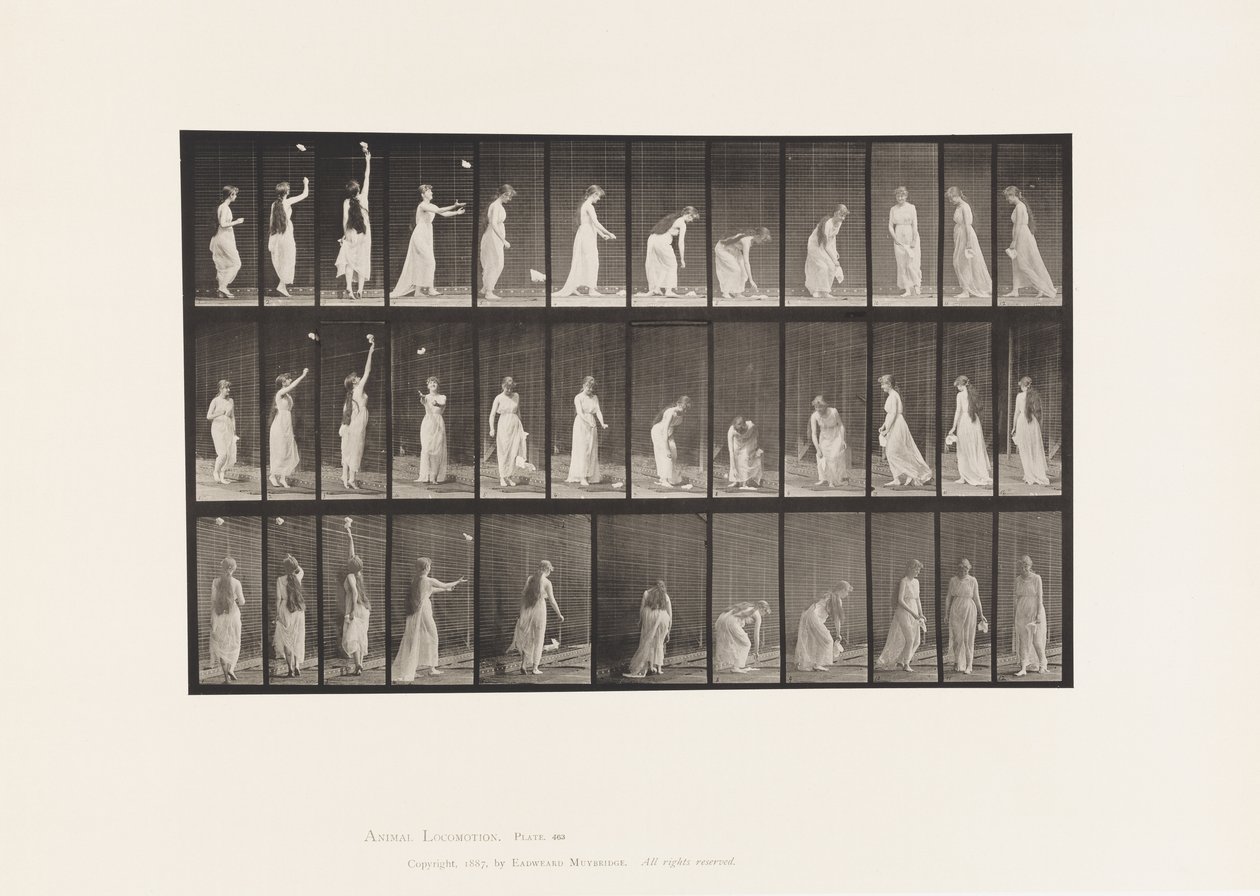 Talíř 463. Natahovat se, sklánět se a otáčet se, 1885 od Eadweard Muybridge