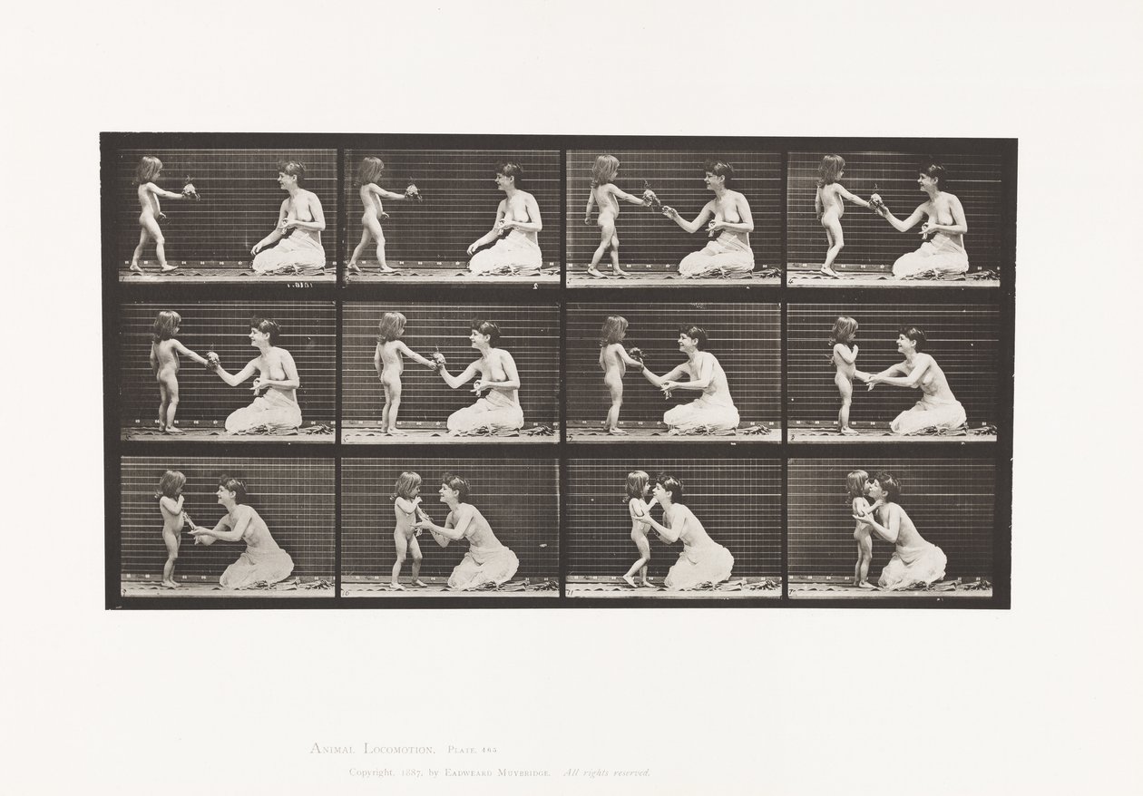 Talíř 465. Dva modely, dítě 70N, přináší kytici do 12, 1885 od Eadweard Muybridge