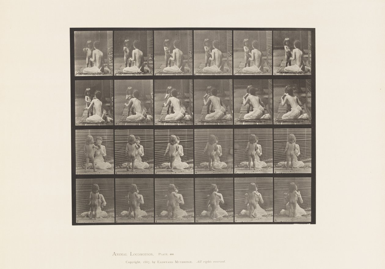 Talíř 466. Dva modely, Child 70N, Bringing Bouquet to 12, 1885 od Eadweard Muybridge