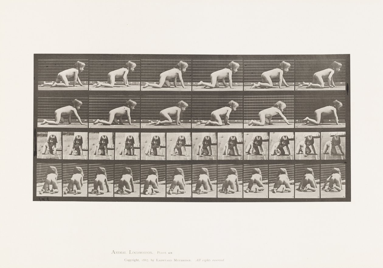 Talíř 471. Dítě, Plazení po rukou a kolenou, 1885 od Eadweard Muybridge